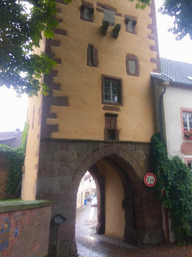 Living-In-History: Heidi Braun Cottage Dudeldorf Eksteriør bilde